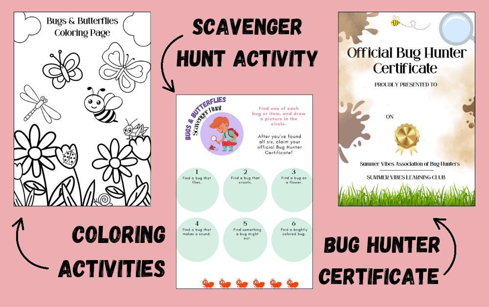 Summer Learning Pack - Bugs & Butterflies