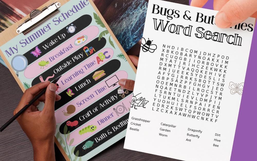 Summer Learning Pack - Bugs & Butterflies